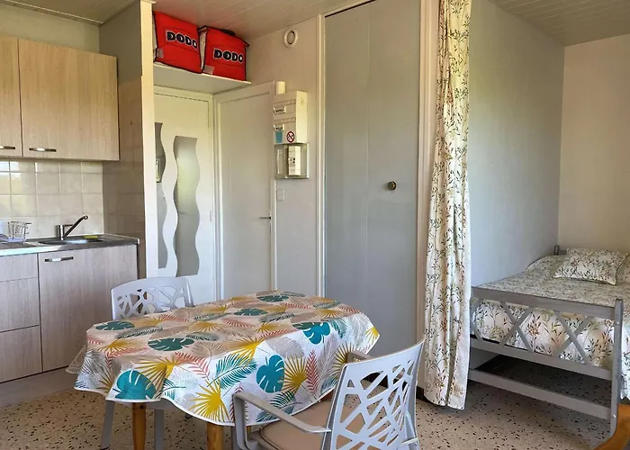 T1 Avec Balcon, Climatisation Et Parking à - Fr-1-553-267